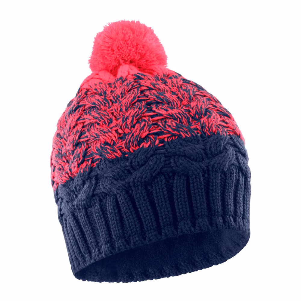 Caciula Salomon POLY BEANIE